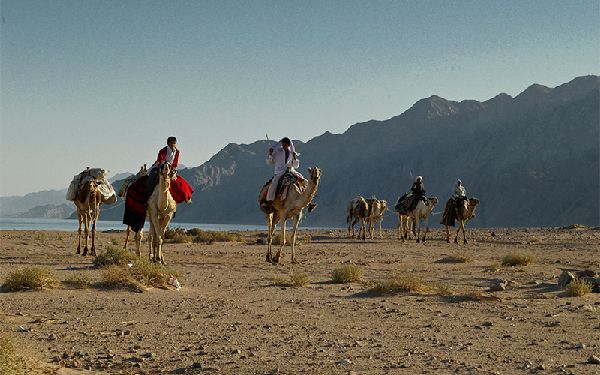 Camel Riders